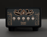 Lotus M3 60 W front panel: five attenuation toggles and the settings chart in copper